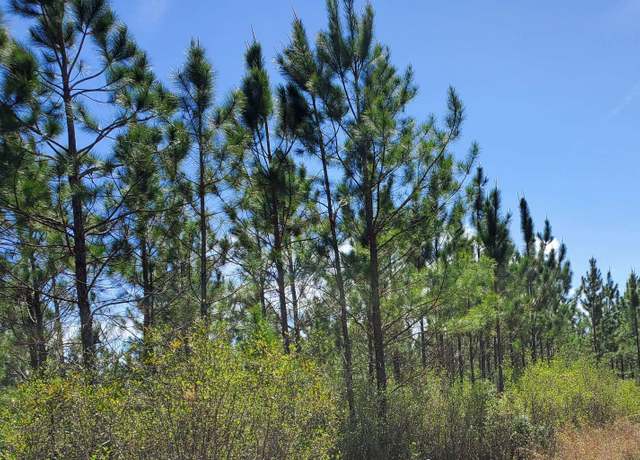 homes for sale in lee florida