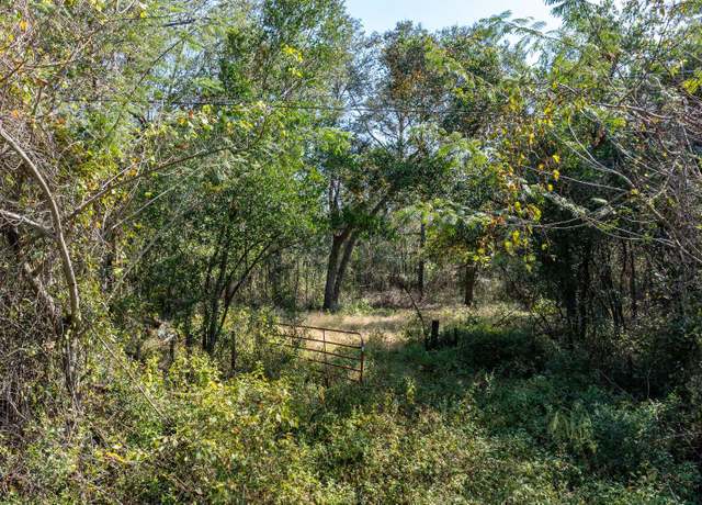 Property at Cr-49, Live Oak, FL 32060