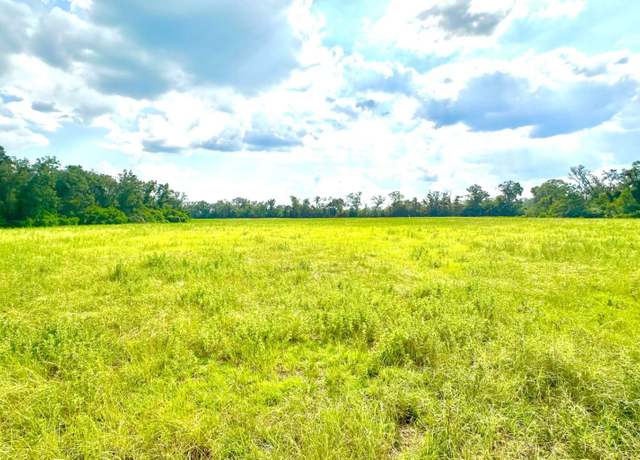 Property at TBD-2 E US 27, Mayo, FL 32066