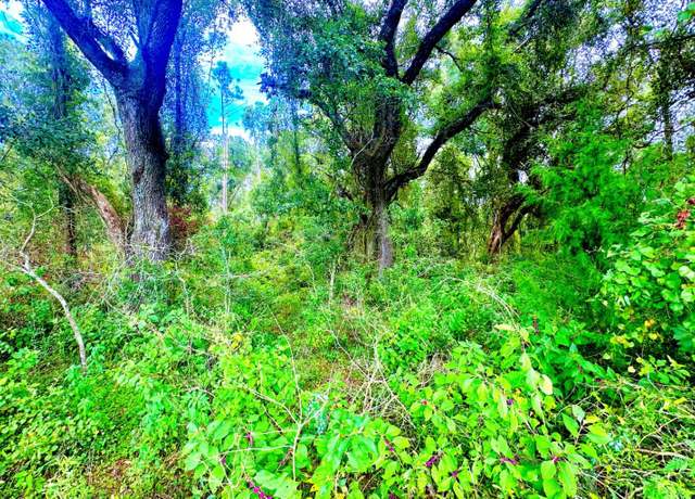 Property at TBD NE Sage Rd, Mayo, FL 32066