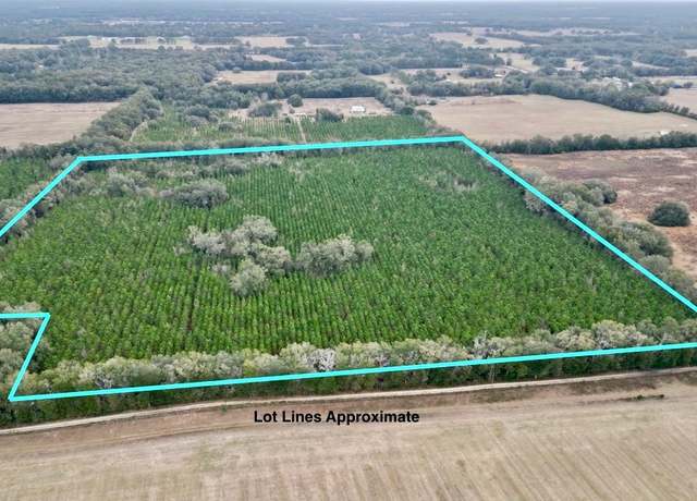Property at VAC SW 30th Ave, Newberry, FL 32669