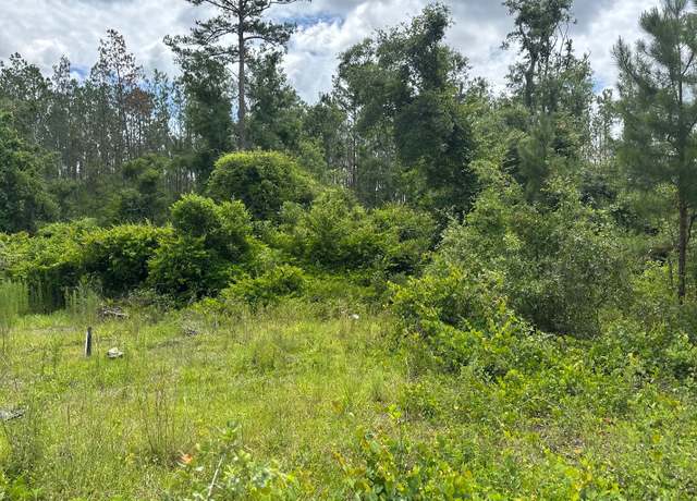 Property at TBD 175th Drive Lot 17, Live Oak, FL 32060