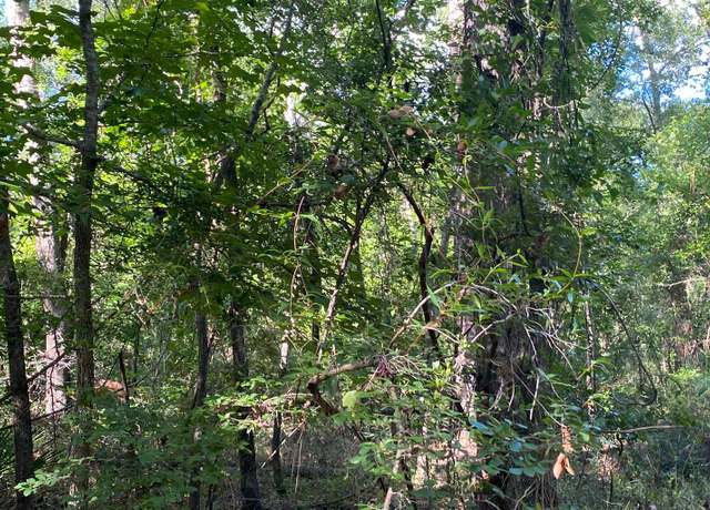 Property at 000 14th Trak, Live Oak, FL 32060