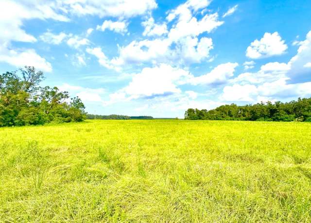 Property at TBD-1 E US 27, Mayo, FL 32066