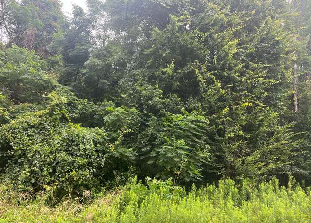 Property at NW 60th Ave - Lot 13, Jennings, FL 32053
