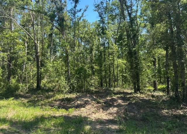 Property at TBD NW 29th Blvd, Jennings, FL 32053