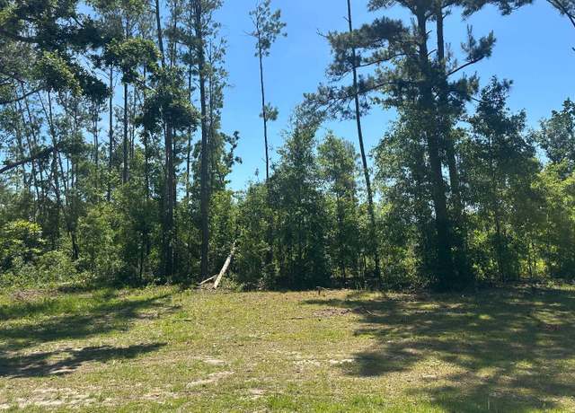 Property at TBD NW Bur Oak Pl, Jennings, FL 32053