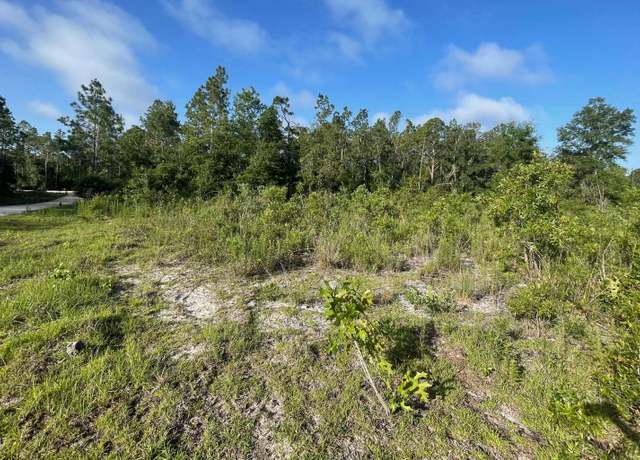 Property at TBD 103rd Dr, Obrien, FL 32071