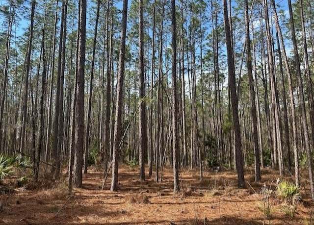 Property at US Hwy 129, Bell, FL 32619