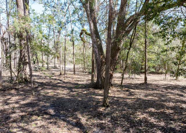 Property at LT 30 141st Rd, Mcalpin, FL 32062