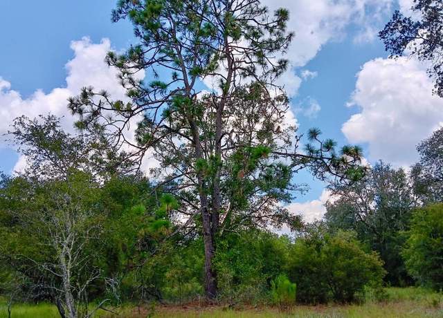Property at LOT26 179th Ln, Live Oak, FL 32060