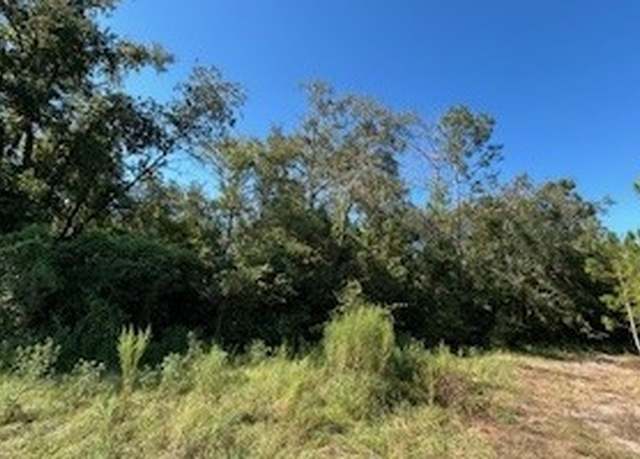 Property at TBD 209th Pl, Live Oak, FL 32060