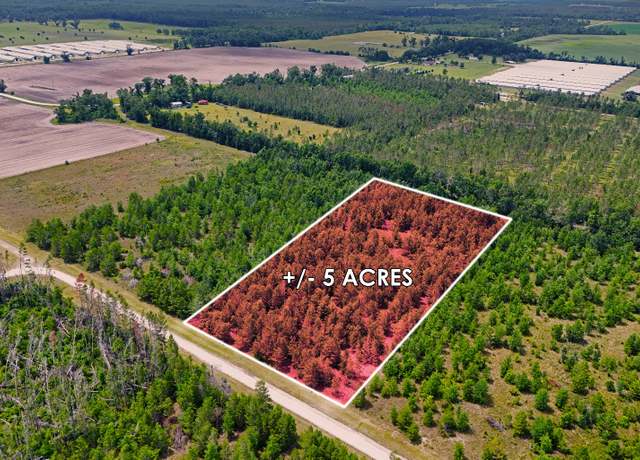 Property at TBD NE Loblolly Trl, Lee, FL 32059