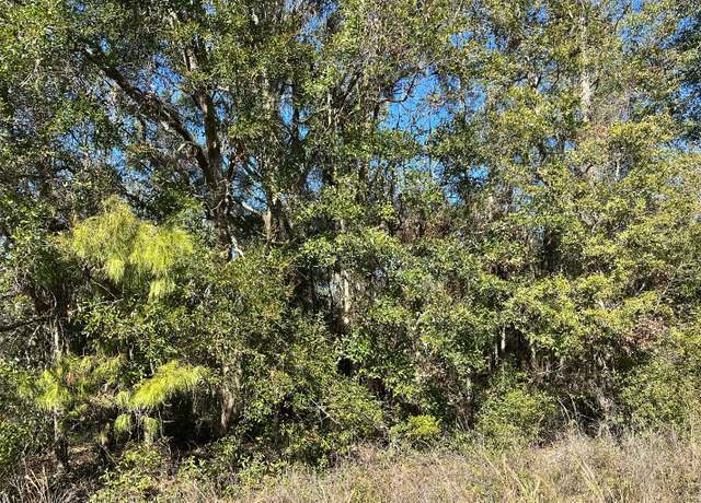 Property at TBD SW Branch Dr (2,3,4), Lake City, FL 32024