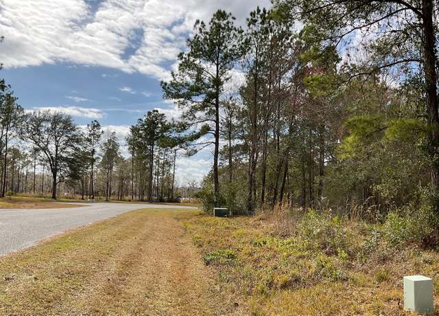 Property at 143 NW Mossy Oak Way, Lake City, FL 32055