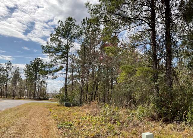 Property at 165 NW Mossy Oak Way, Lake City, FL 32055