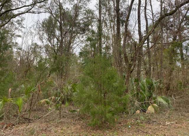 Property at 116th, Dowling Park, FL 32060