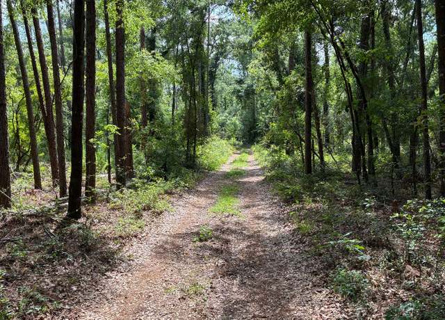 Property at LOT66 Peacock Hideaway, Live Oak, FL 32060