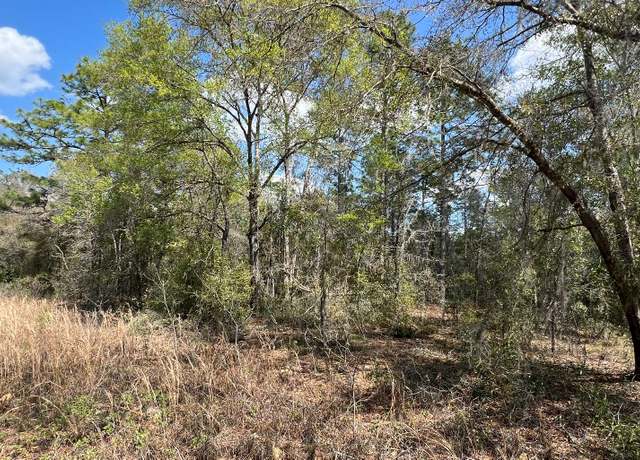 Property at 000 NE 154th Ave, Williston, FL 32696