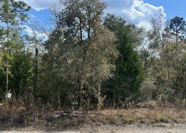 Property at TBD NE 50th Ln, Williston, FL 32696