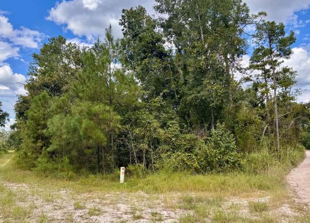 Property at LOT44 SW 32nd Ln, Jasper, FL 32052