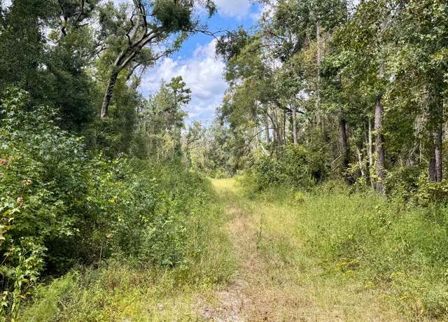 Property at LOT45 SW 32nd Ln, Jasper, FL 32052