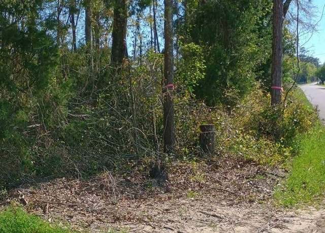 Property at 860 NE Delphinium, Madison, FL 32340