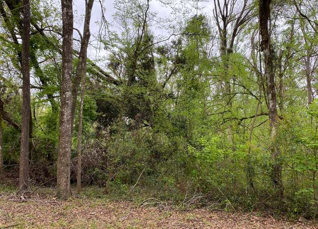 Property at SW Bumble St, Fort White, FL 32038