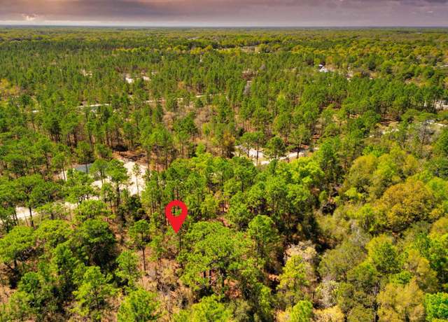 Property at TBD SW 96th Lane-lot 4 E, FL 34432
