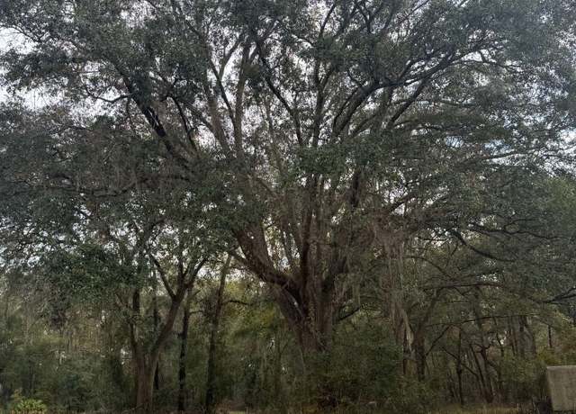 Property at SW Mcgriff Ln & Kaman, Lake City, FL 32024