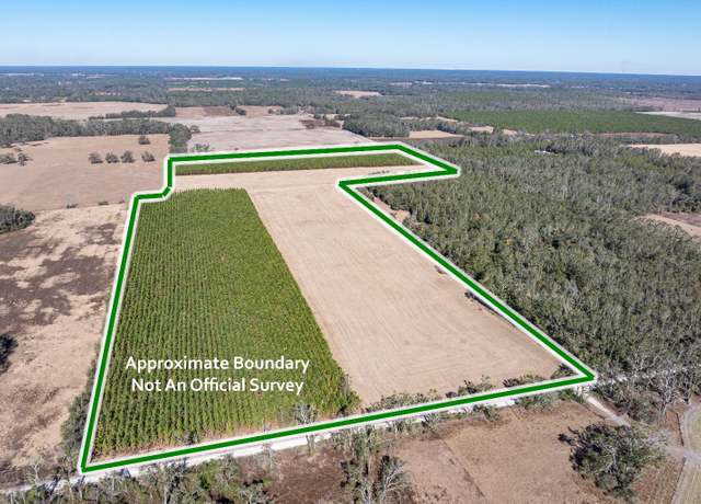 Property at 14727 176th St, Mcalpin, FL 32062