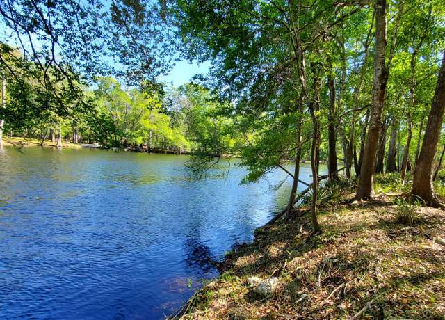 Property at 11220 NE 22nd Ct, Branford, FL 32008
