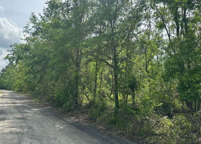 Property at TBD SW Bozeman Ct, Lake City, FL 32024