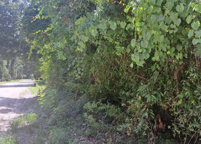Property at TBD SW Riverside Ave, Fort White, FL 32038