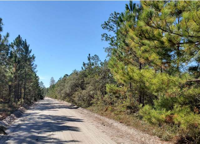 Property at SW County Line Rd, Lee, FL 32059