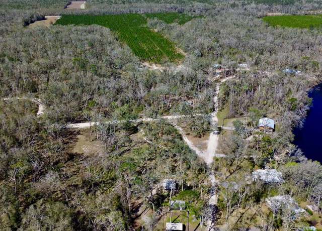Property at TBD NE River Road Lot 6, Mayo, FL 32066