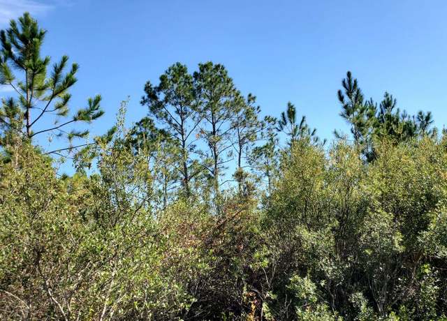 Property at SW Spur Rd, Lee, FL 32059