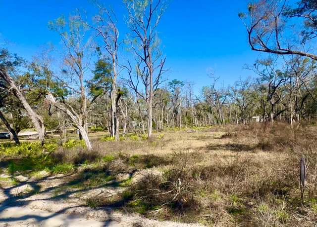 Property at TBD NE Pecan Ave Lot 8, Mayo, FL 32066