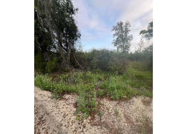 Property at SW Nautilus Rd, Lake City, FL 32025
