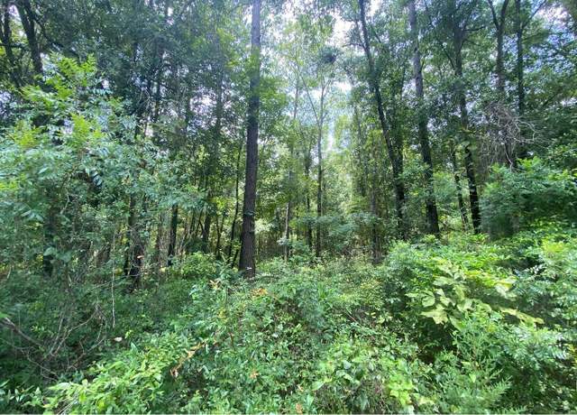 Property at 0000 NW 29th Blvd, Jennings, FL 32053