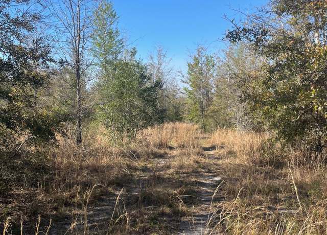 Property at SW SW Cr 141, Jasper, FL 32052