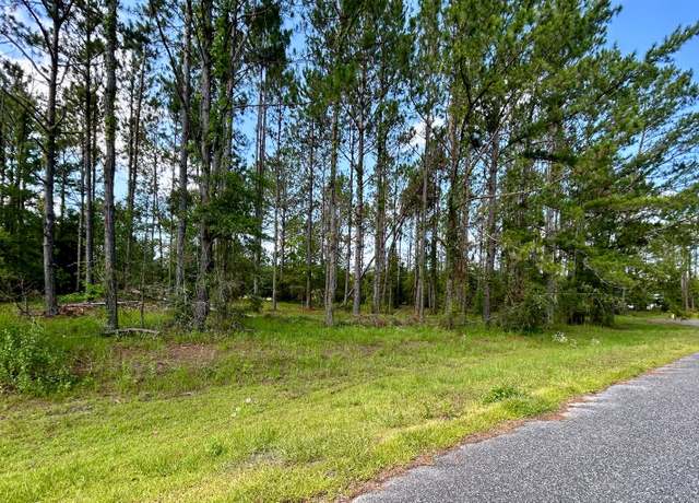 Property at LT 19 88th Trl, Live Oak, FL 32060