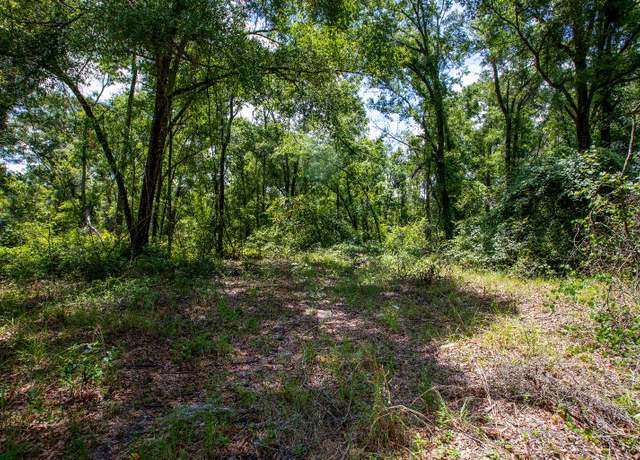 Property at Lot 35 135th Ln, Obrien, FL 32071