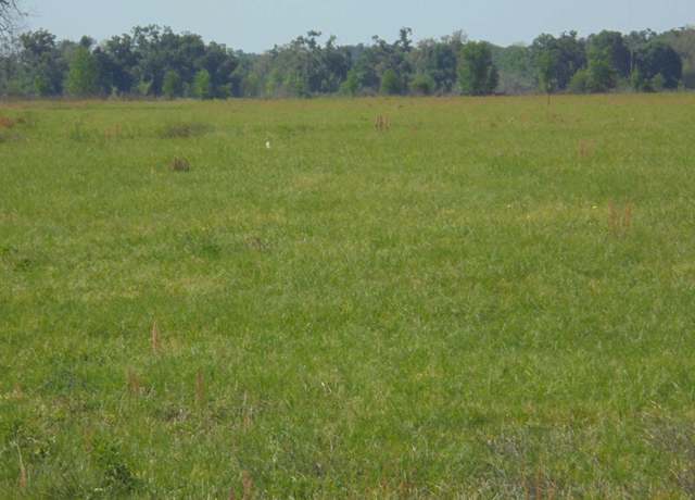 Property at 8516 240th St, Obrien, FL 32071