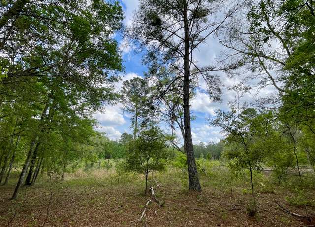 Property at LOT40 160th Ter, Mcalpin, FL 32062