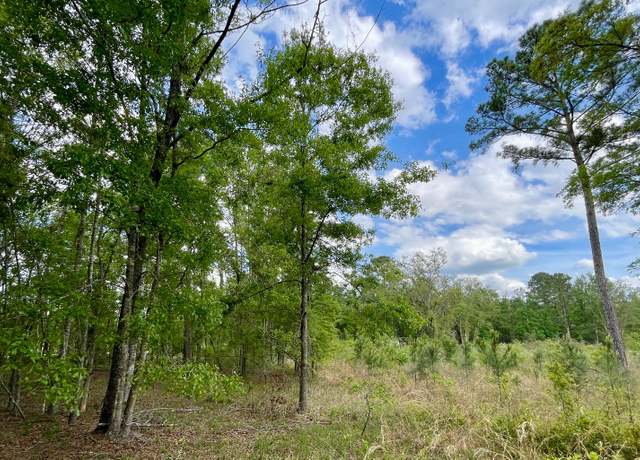 Property at LOT40 160th Ter, Mcalpin, FL 32062