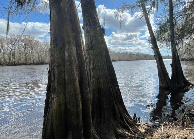 Property at TBD NE 930th St, Old Town, FL 32680