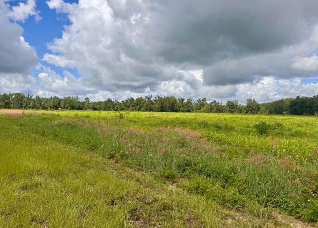 Property at 000 NW 50th Ln, Jennings, FL 32053