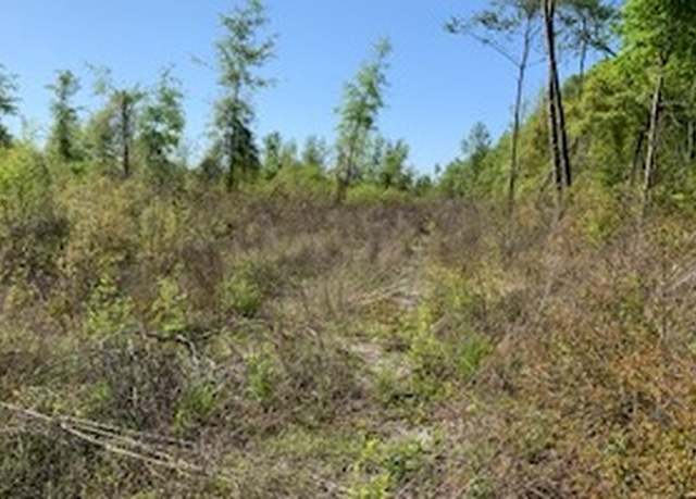 Property at TBD Cr 49, Mcalpin, FL 32062