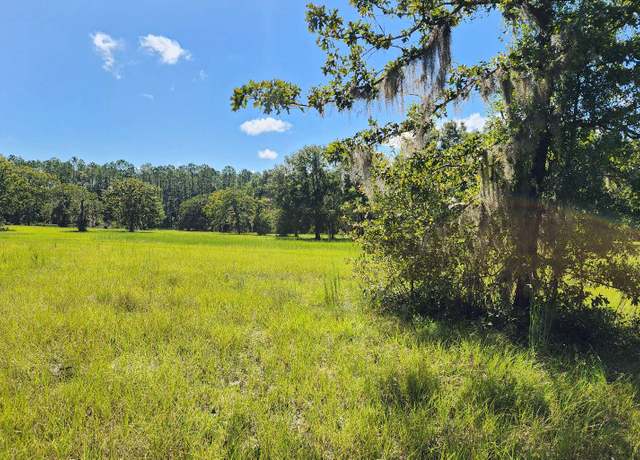 Property at L3B3 73rd Rd, Obrien, FL 32071